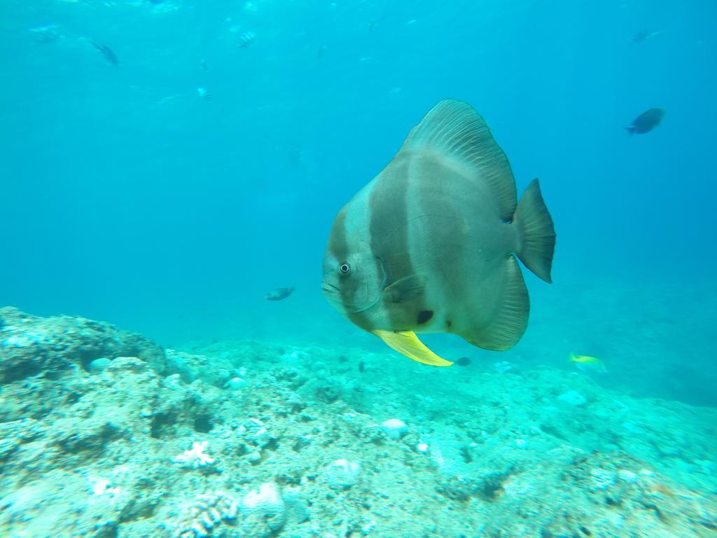 Hotel Tropical Surf House Okinawa Onna Esterno foto